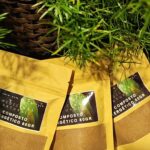 Refil Composto Energético e Regulador 80GR com 3 UNIDADES